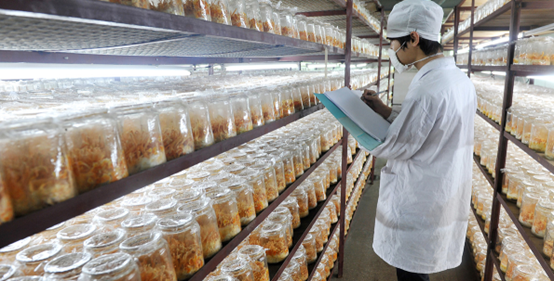 d8a72588342b359b2a7eb5b75dae2749.jpg d8a72588342b359b2a7eb5b75dae2749.jpg